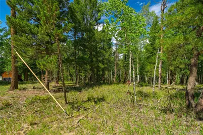 431 Cottonwood Lake Drive, Divide, CO 80814 - Photo 5