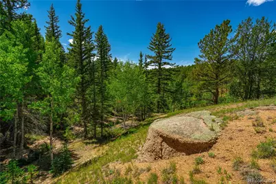 431 Cottonwood Lake Drive, Divide, CO 80814 - Photo 21