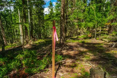 431 Cottonwood Lake Drive, Divide, CO 80814 - Photo 3