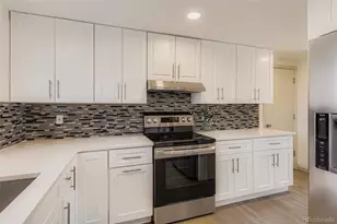 331 Mountain Chickadee Rd, Highlands Ranch, CO 80126 - Photo 13