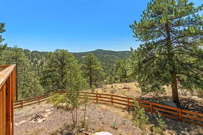 114 Star Lane, Bailey, CO 80421 - Photo 39