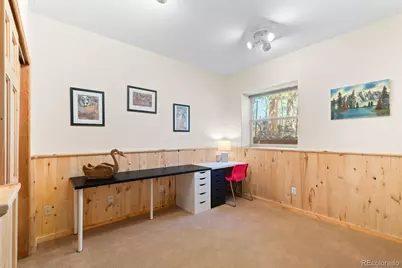 114 Star Lane, Bailey, CO 80421 - Photo 33