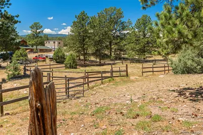 114 Star Lane, Bailey, CO 80421 - Photo 45