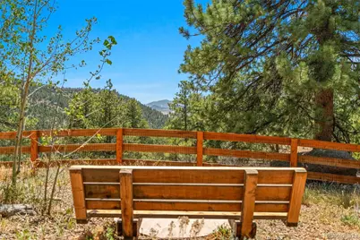 114 Star Lane, Bailey, CO 80421 - Photo 41