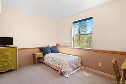 114 Star Lane, Bailey, CO 80421 - Photo 29
