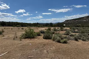 4530 Horse Canyon Rd, De Beque, CO 81630 - Photo 13