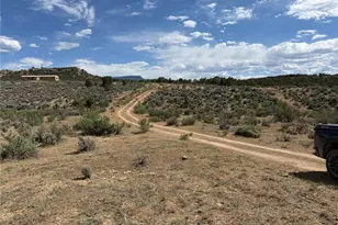 4530 Horse Canyon Rd, De Beque, CO 81630 - Photo 15