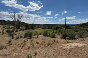 4530 Horse Canyon Rd, De Beque, CO 81630 - Photo 17