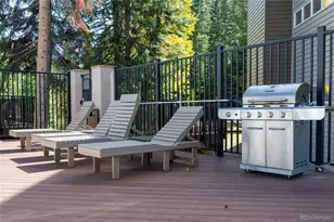 310 Iron Horse Way, Winter Park, CO 80482 - Photo 29