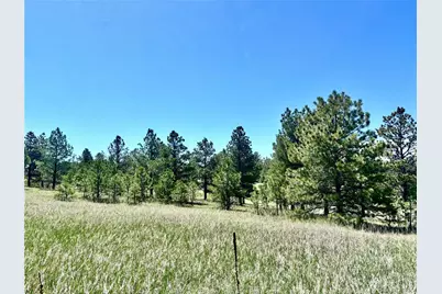 11455 Random Valley Circle, Parker, CO 80134 - Photo 9