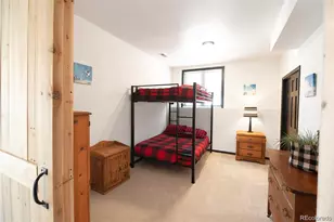 496 Quartzville Rd, Alma, CO 80420 - Photo 19