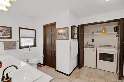 496 Quartzville Road, Alma, CO 80420 - Photo 9