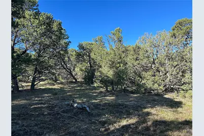 Lot 165 Silver Spurs Ranch, Walsenburg, CO 81089 - Photo 13