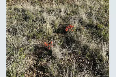 Lot 165 Silver Spurs Ranch, Walsenburg, CO 81089 - Photo 7