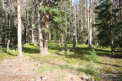 Lot 6524 Forbes Road, San Luis, CO 81152 - Photo 5