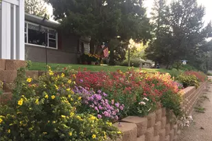 601 N Gilbert St, Castle Rock, CO 80104 - Photo 41