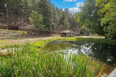 1733 Swede Gulch Road, Evergreen, CO 80439 - Photo 5