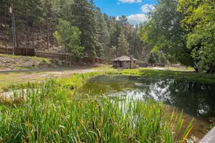1733 Swede Gulch Rd, Evergreen, CO 80439 - Photo 5