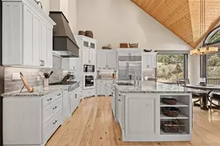 1733 Swede Gulch Rd, Evergreen, CO 80439 - Photo 19