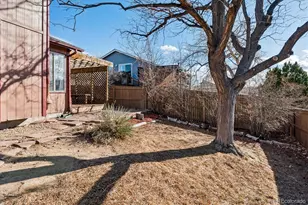 793 Walden Ct, Highlands Ranch, CO 80126 - Photo 25