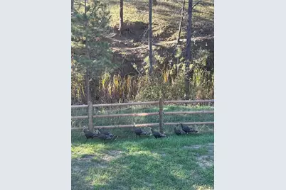 1300 Gambel Oaks Drive, Elizabeth, CO 80107 - Photo 37