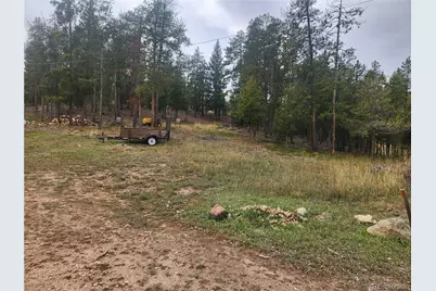 7041 Brook Forest Drive, Evergreen, CO 80439 - Photo 3