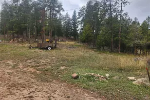 7041 Brook Forest Dr, Evergreen, CO 80439 - Photo 3