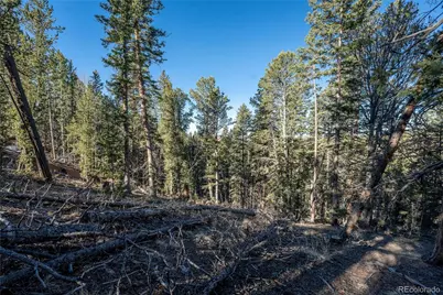 565 Fairview Drive, Woodland Park, CO 80863 - Photo 7