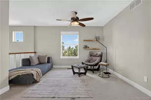 9050 Old Tom Morris Cir, Highlands Ranch, CO 80129 - Photo 23