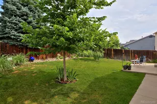 13441 Cherry St, Thornton, CO 80241 - Photo 41