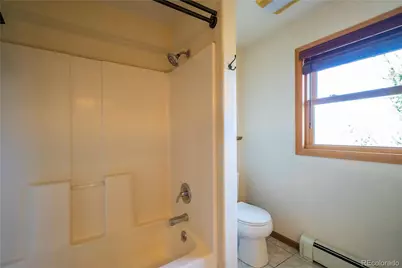 480 Witcher Lane, Fairplay, CO 80440 - Photo 11