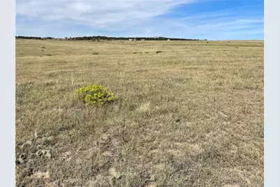 3 County Road 77, Calhan, CO 80808 - Photo 5