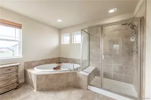 1650 Bent Wedge Point, Castle Rock, CO 80109 - Photo 17