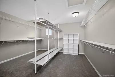 22980 Hope Dale Avenue, Parker, CO 80138 - Photo 19