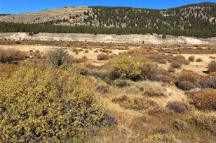 Leadville Land, Leadville, CO 80461 - Photo 1