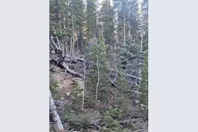 S: 35 T: 1S R: 72 W, Golden, CO 80403 - Photo 5