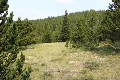 13620 Independence, Idaho Springs, CO 80461 - Photo 15