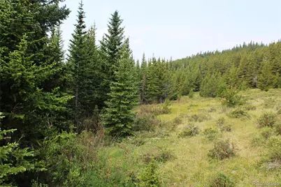 13620 Independence, Idaho Springs, CO 80461 - Photo 5