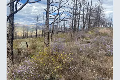 338 Hagin Lane, Fort Garland, CO 81133 - Photo 3