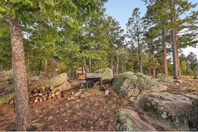 8510 Bobsled Trail, Morrison, CO 80465 - Photo 35