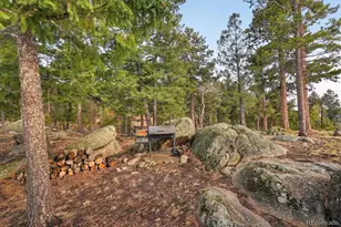 8510 Bobsled Trail, Morrison, CO 80465 - Photo 35