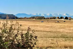 12426 1st St, Parker, CO 80134 - Photo 3