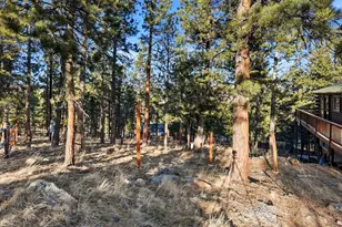 201 Moss Rock Rd, Bailey, CO 80421 - Photo 35