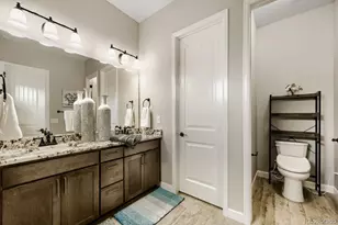 6698 Palmetto Ct, Castle Rock, CO 80108 - Photo 27