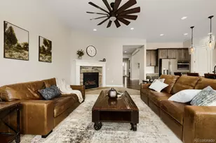 6698 Palmetto Ct, Castle Rock, CO 80108 - Photo 7