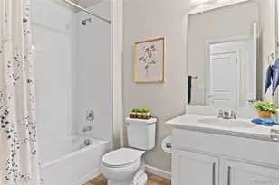 409 Millwall Cir, Castle Rock, CO 80108 - Photo 21