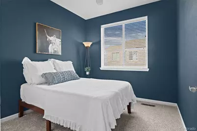 409 Millwall Circle, Castle Rock, CO 80108 - Photo 19