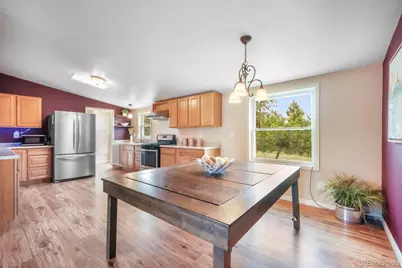 696 Calle De La Nieva, Florissant, CO 80816 - Photo 11