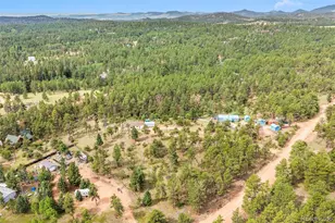 696 Calle De La Nieva, Florissant, CO 80816 - Photo 43