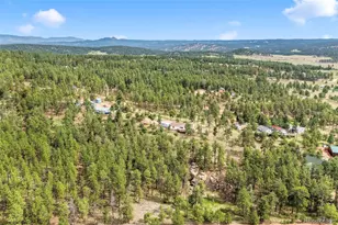 696 Calle De La Nieva, Florissant, CO 80816 - Photo 45